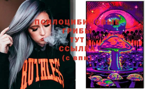 соль курить ск Бородино