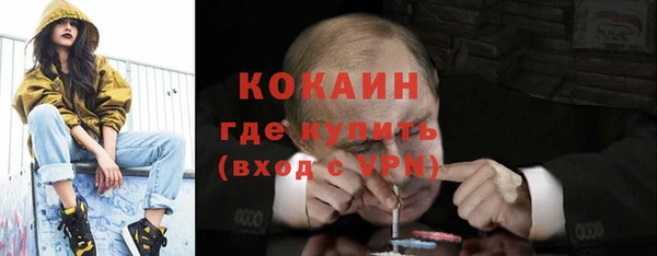 прущие грибы Бронницы
