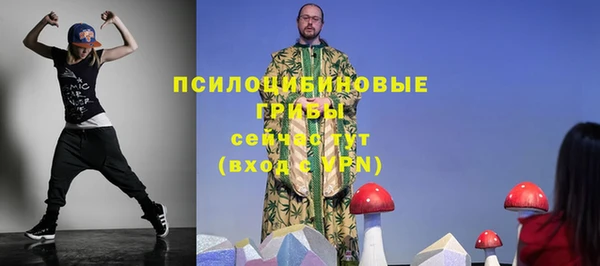 не бодяженный Семёнов