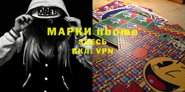 прущие грибы Бронницы
