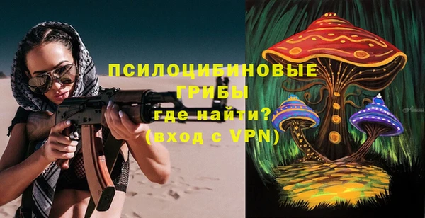 прущие грибы Бронницы