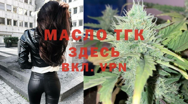 прущие грибы Бронницы